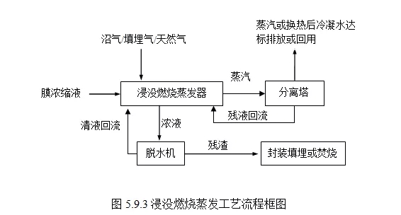 鑷浉娈嬫潃.webp.jpg